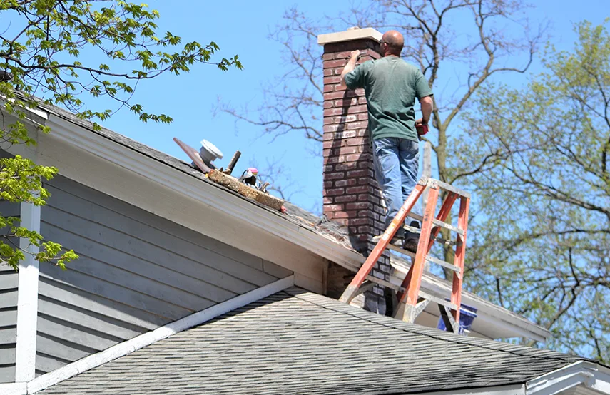 Chimney & Fireplace Inspections Services in Glassboro, NJ